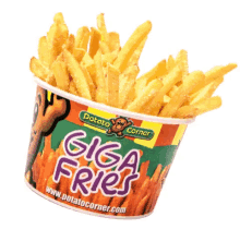 snack fries