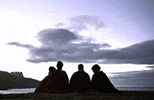 a group of people are sitting on a grassy hill overlooking a body of water