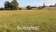 Buzna Festival GIF - Buzna Festival GIFs