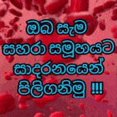 a pink background with red hearts and the words " i love you " in blue letters