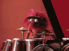 Muppets Muppet Show GIF - Muppets Muppet Show Harry Belafonte GIFs