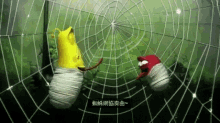 蜘蛛網協奏曲 Spider Web Duet GIF
