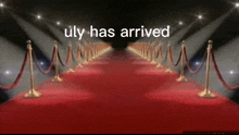 Uly Musicord GIF - Uly Musicord Red Carpet GIFs