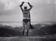 Batman Day Lewis Wilson GIF