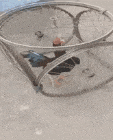 a chicken in a wheel with a red arrow pointing up