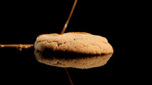 crumbl cookies ultimate peanut butter cookie cookies peanut butter cookie fast food