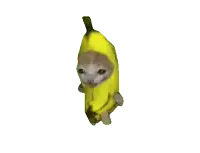 a cat in a banana costume is walking