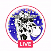 Live Livestreaming GIF - Live Livestreaming Going Live GIFs