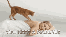 Massage Cat GIF - Massage Cat Funny GIFs