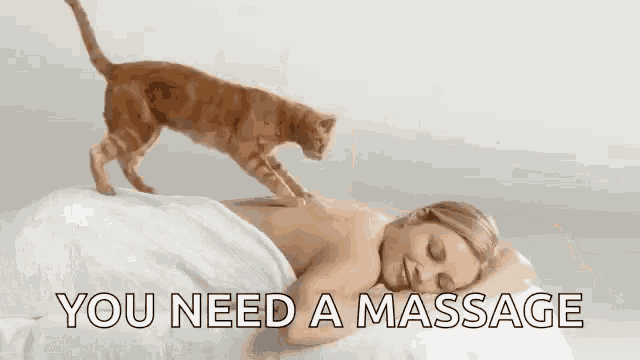Massage Cat GIF - Massage Cat Funny - Discover & Share GIFs
