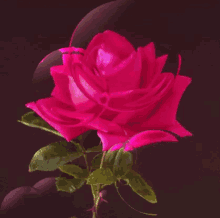 Pink Rose GIF - Pink Rose Animation GIFs
