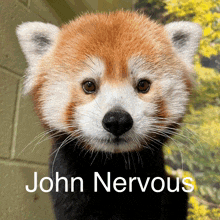 John Nervous GIF - John Nervous GIFs