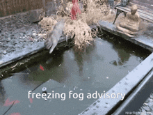 a picture of a frozen pond with the words freezing fog advisory below it