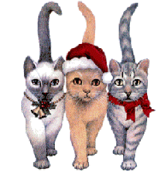 Three Cats Cats Sticker - Three Cats Cats Merry Christmas Stickers