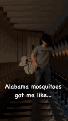 Alabama Life GIF - Alabama Life Mosquitoes GIFs