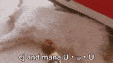a white dog laying on the floor with the words cj and mana u written on the bottom