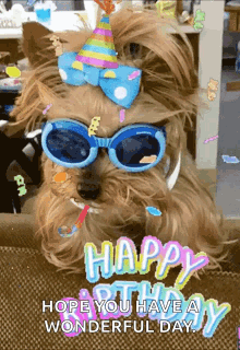 Happy Birthday Dog Meme GIFs | Tenor