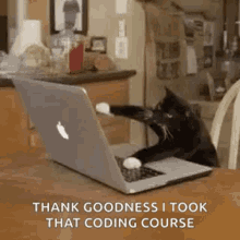 Kitten Cat GIF - Kitten Cat Typing GIFs