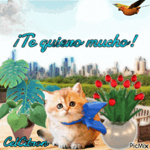 a picture of a cat with flowers and the words te quiero mucho on it