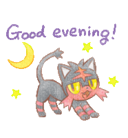 a drawing of a cat says good evening