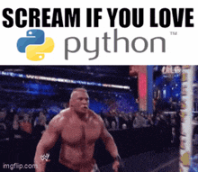a picture of brock lesnar with the words " scream if you love python " on the bottom
