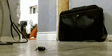 a black briefcase sits on a wooden floor