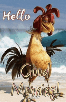a picture of a rooster with the words hello good morning