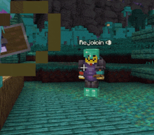 a screenshot of a minecraft character with the name rejoicing above it