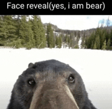 Faz Bear GIF - Faz Bear GIFs