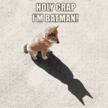 Batman Fox GIF