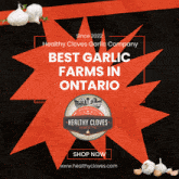Garlic Garlic Farm GIF - Garlic Garlic Farm Ontario GIFs