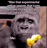 Gorilla Pepper GIF - Gorilla Pepper Bell Pepper GIFs