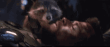 Avengers Funny Thor And Rocket GIF - Avengers Funny Thor And Rocket Rocket GIFs