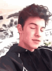 Shawn Mendes GIF - Shawn Mendes Cute GIFs