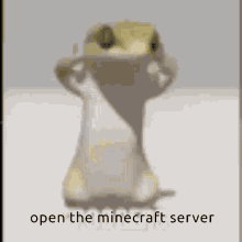 server open