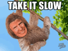 take it slow sloth humor