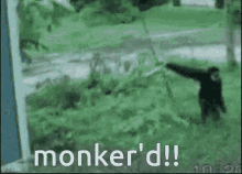 Monkey Monki GIF - Monkey Monki Monki Flip GIFs
