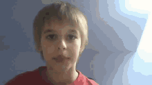 a young boy wearing a red shirt is looking at the camera .