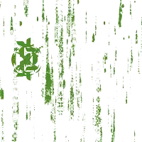 a white background with green lines and spots