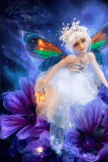 glitter fairy