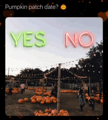 Pumpkin Patch Pumpkin Patch Fate GIF - Pumpkin Patch Pumpkin Patch Fate Yes Or No GIFs