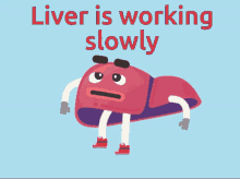 Liver GIF