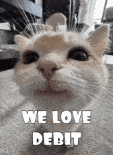 a close up of a cat 's face with the words `` we love debit '' written below it .