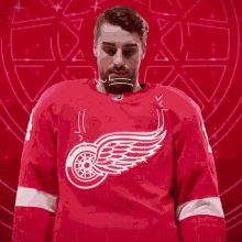 Red Wings Goal Detroit Red Wings Goal GIF - Red Wings Goal Detroit Red Wings Goal Robby Fabbri GIFs