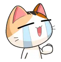 a cartoon cat is crying with tears coming out of his eyes