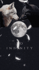 two wolves kissing in front of a full moon with the words " to infinity " on the bottom