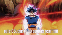 Rule65 Goku GIF - Rule65 Goku 1000quid GIFs