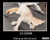 Le Goob Hangover GIF - Le Goob Hangover Afterparty GIFs