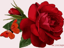 Gia Sena Roses GIF - Gia Sena Roses Glittery GIFs
