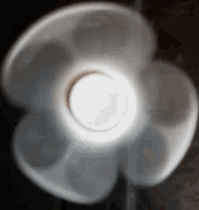 a white flower shaped plastic container with a white lid